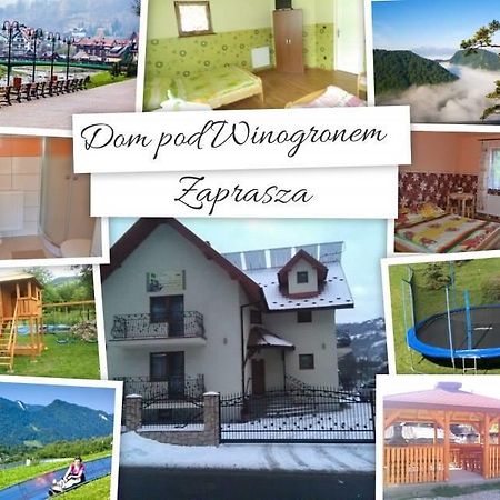 Dom Pod Winogronem Apartment Szczawnica Ngoại thất bức ảnh