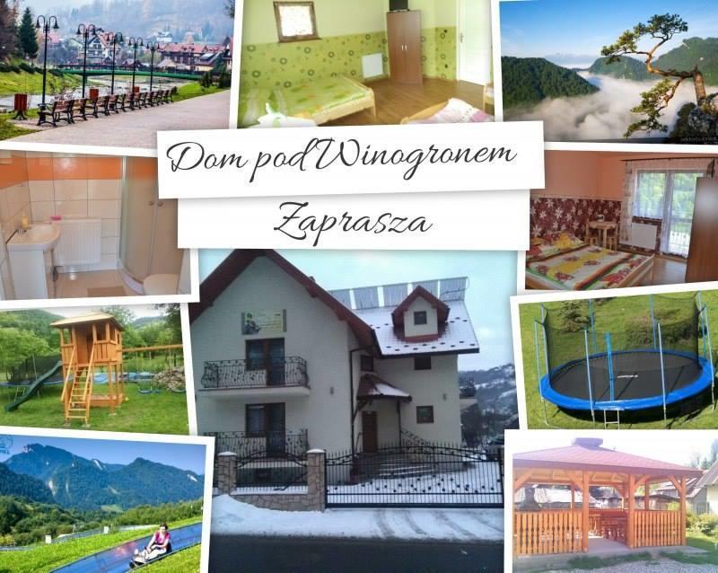 Dom Pod Winogronem Apartment Szczawnica Ngoại thất bức ảnh